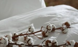 simurg-organic_col_1